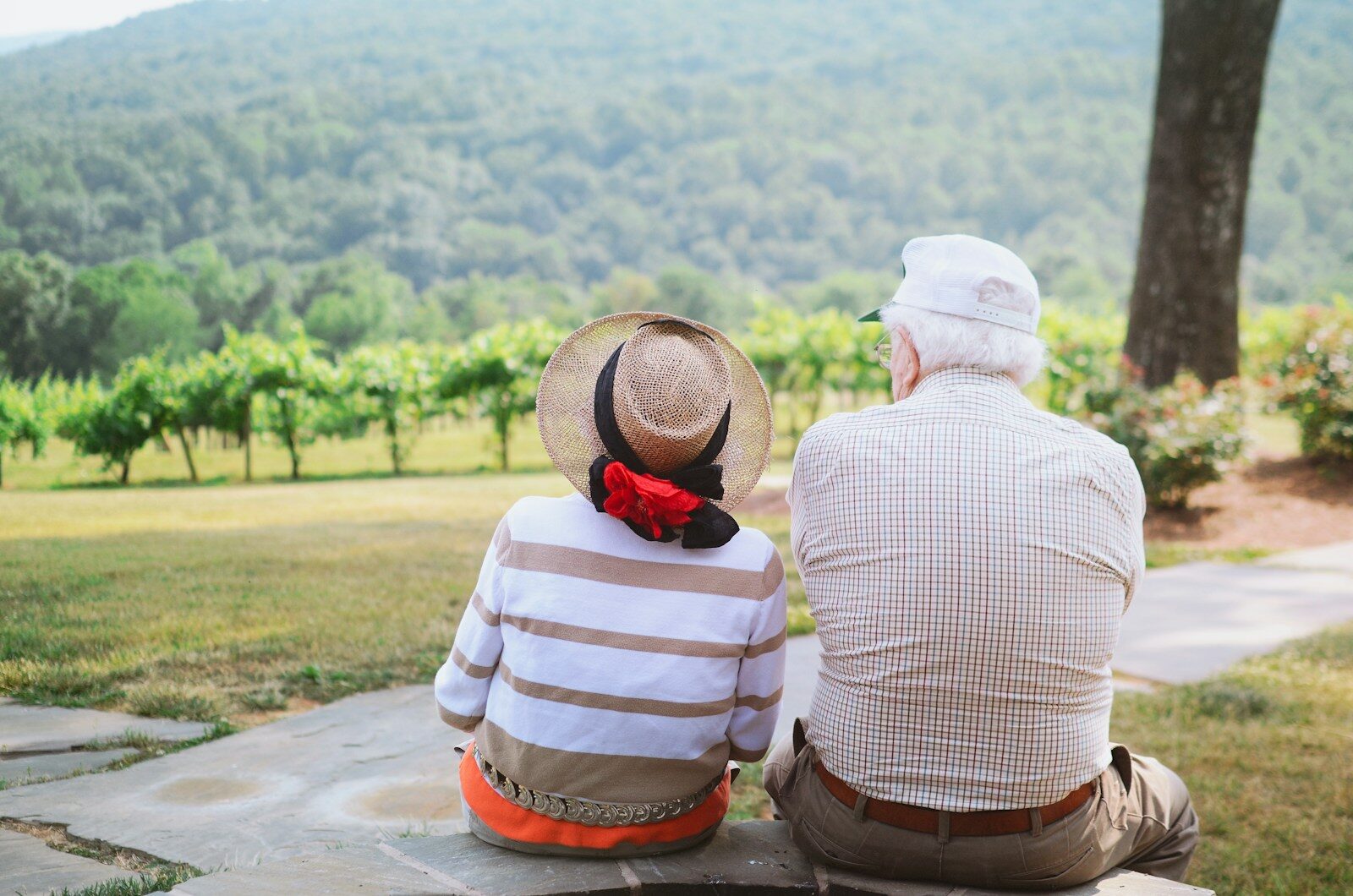 Senior couple reviewing their retirement options together